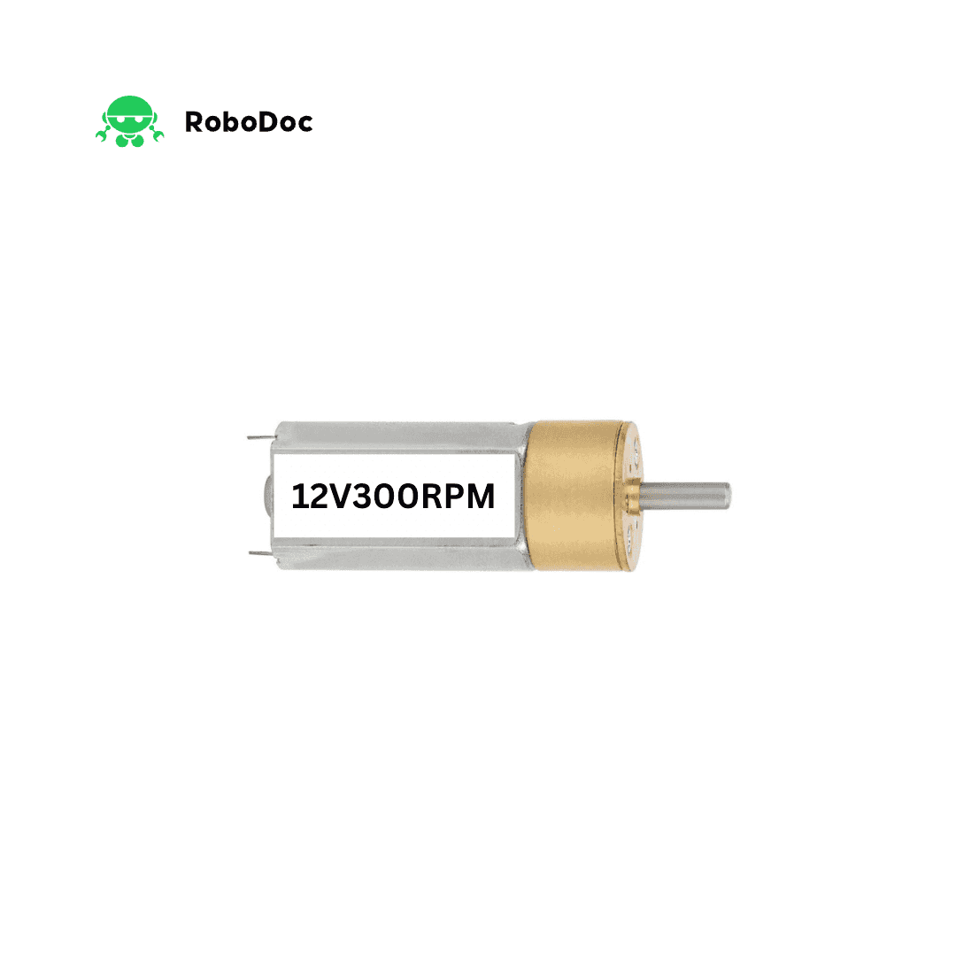 DC Box Gear Motor 12V (300 RPM)