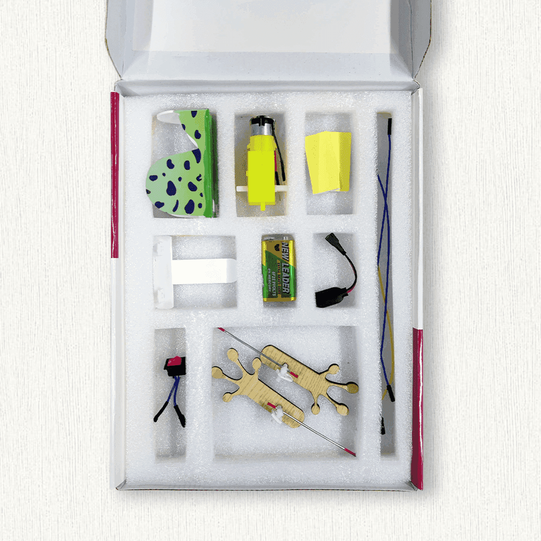 রোবো ফ্রগ